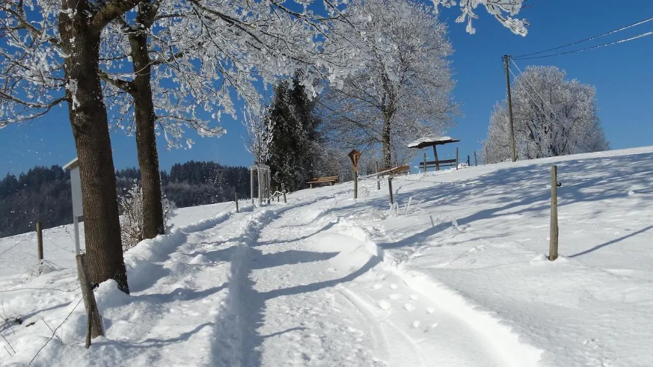 Ferienwohnung Alpenstern Rieden am Forggensee 0*,